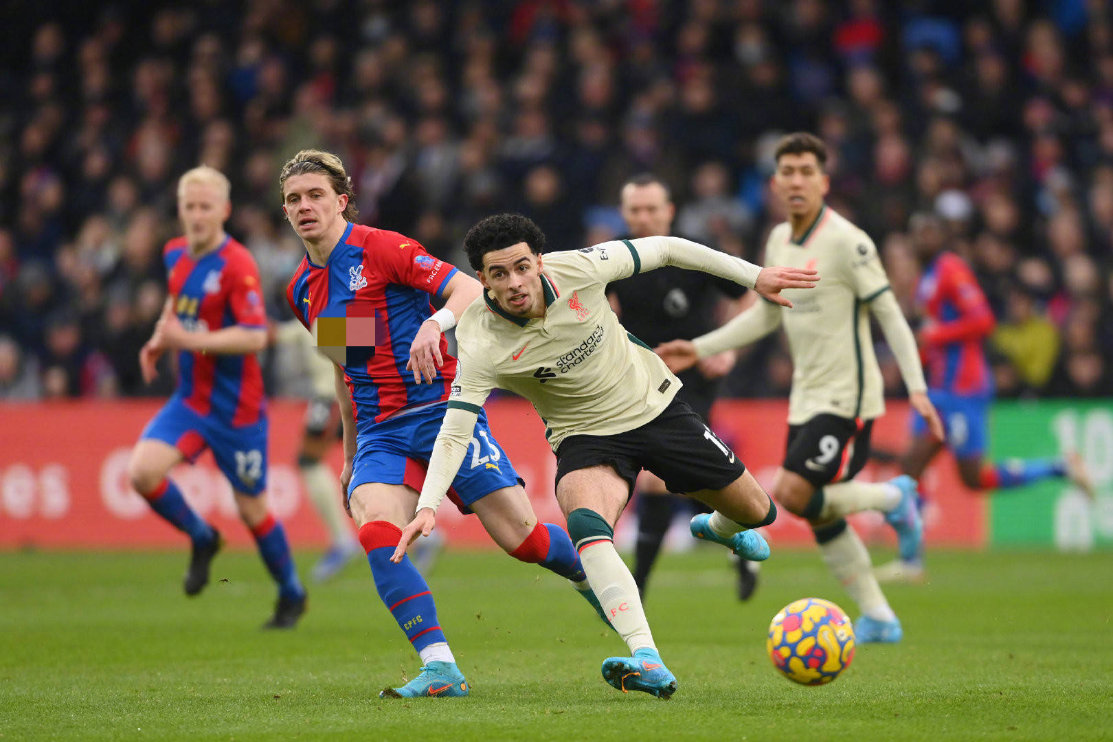 不仅体现了 不仅体现了