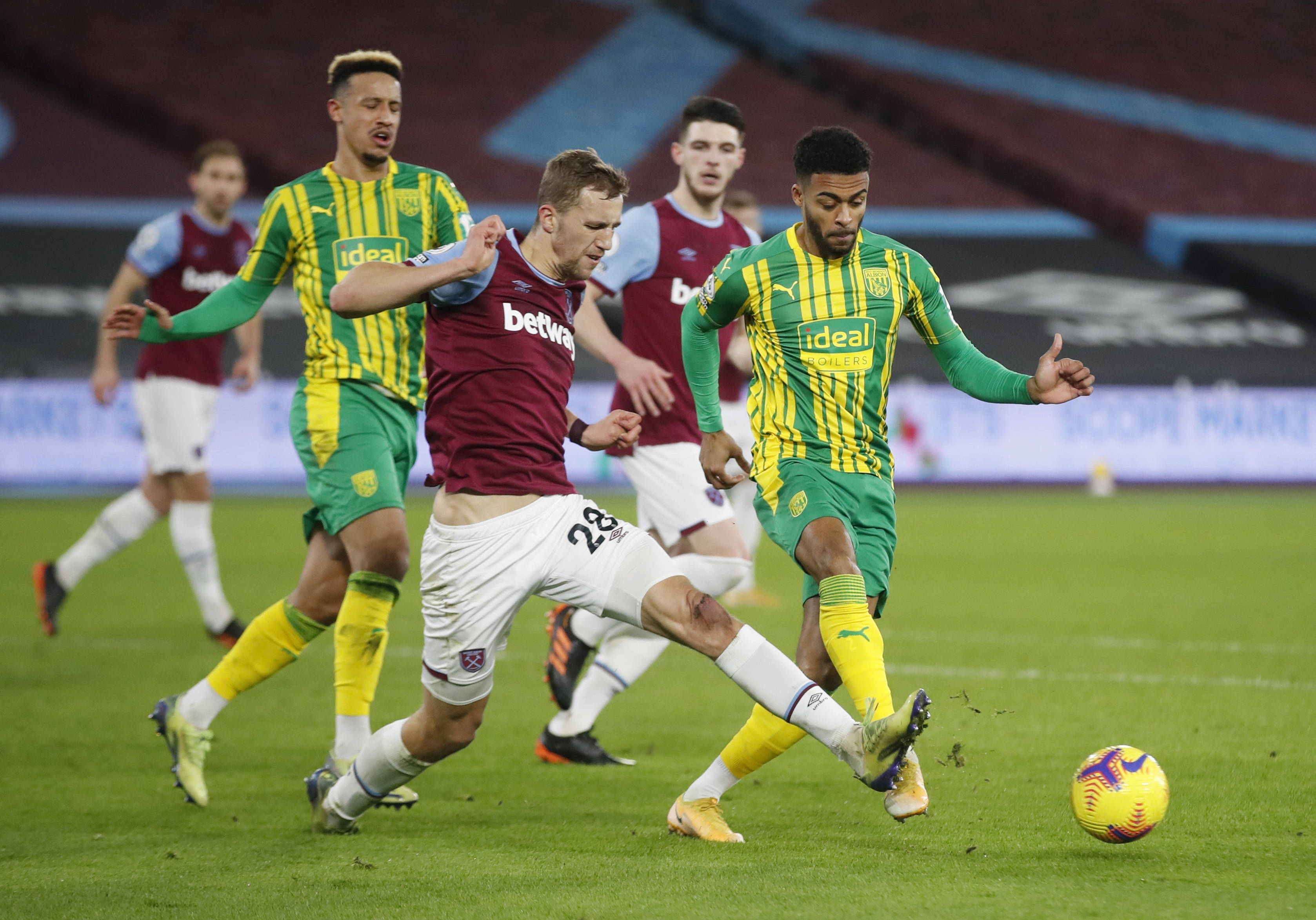 欧洲的羽毛 欧洲的羽毛